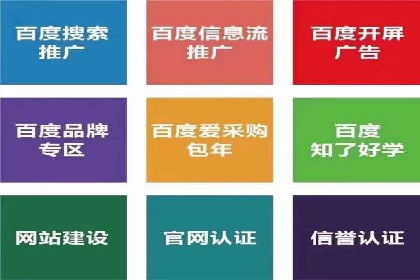 百度SEO优化公司案例详解：如何制定有效的推广计划